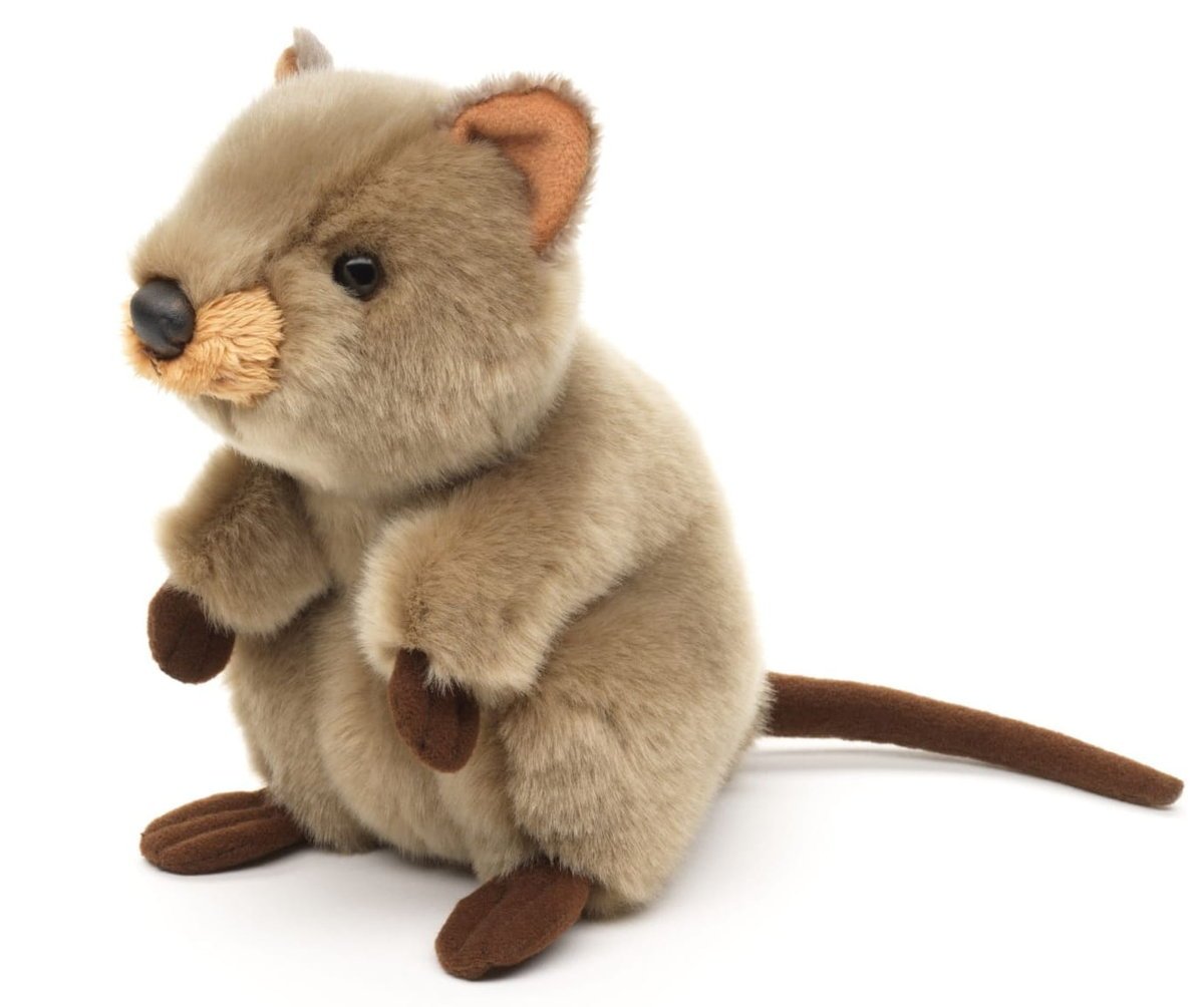Maskotka Pluszowa Quokka Uni-Toys 18 cm – realistyczna maskotka z zoo