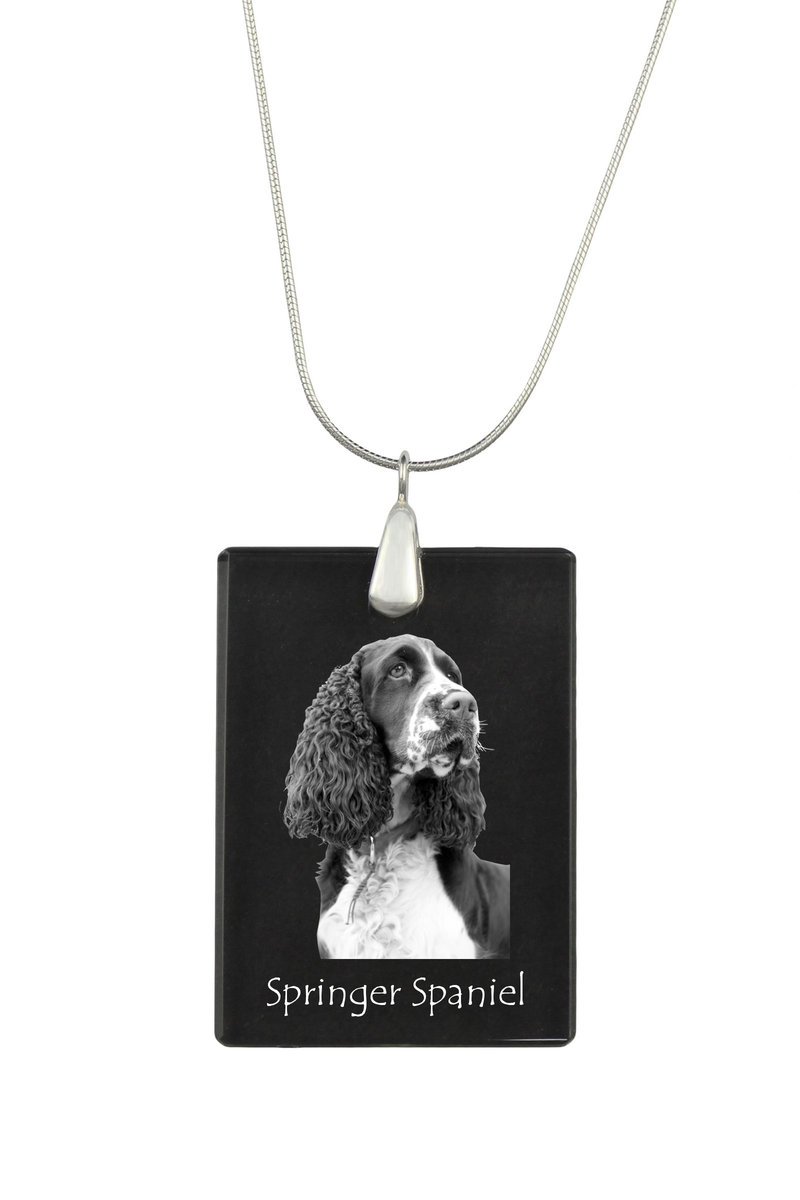 Springer spaniel angielski - kryształowa zawieszka z psem, srebrny naszyjnik ze zdjęciem, personalizowany wisiorek marki Art-Dog