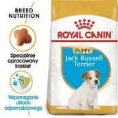 Sucha karma dla psów - Royal Canin Jack Russel Junior 1,5 kg - miniaturka - grafika 1