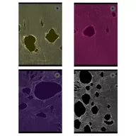 Zeszyty szkolne - Zeszyt A5/80K kratka Tear (5szt) - Ziemia Obiecana - miniaturka - grafika 1