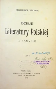 Dzieje literatury polskiej w zarysie Tom I 1903 r. - Poezja - miniaturka - grafika 1