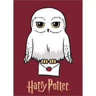 Koce i narzuty dla dzieci - Koc Polarowy Polar 100X140Cm Harry Potter - miniaturka - grafika 1