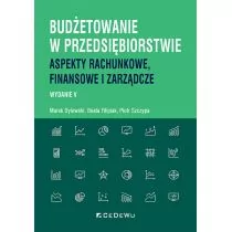 Budżetowanie w przedsiębiorstwie. Aspekty rachunkowe, finansowe i zarządcze - Finanse, księgowość, bankowość - miniaturka - grafika 1