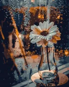 Malowanie po numerach - Malowanie po numerach, 40x50 cm - Rumianek w wazonie - miniaturka - grafika 1