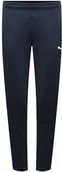 Spodnie męskie - Spodnie damskie PUMA - individualLIGA Women Pants 658055-47-L - miniaturka - grafika 1