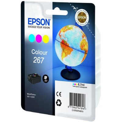 Epson T26704010