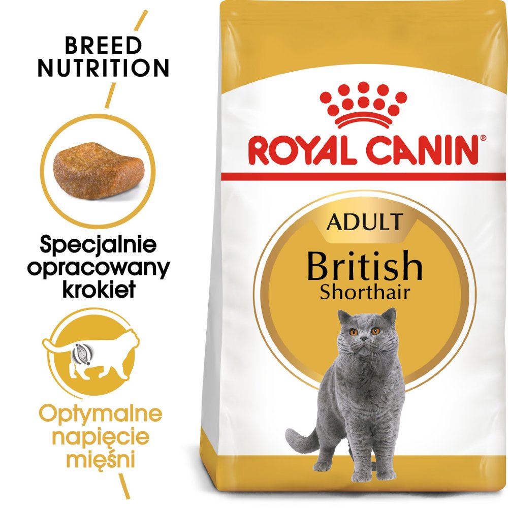 Royal Canin British Shorthair 10 kg