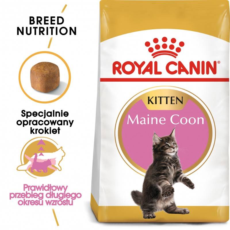 Royal Canin bytówka ROYAL CANIN Maine Coon Kitten 36 10kg + Wiadro na karmę 42l kot 236130