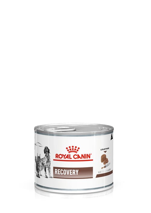 Royal Canin 234170 RECOVERY Dog/Cat 195 g 234170 RECOVERY Dog/Cat 195 g