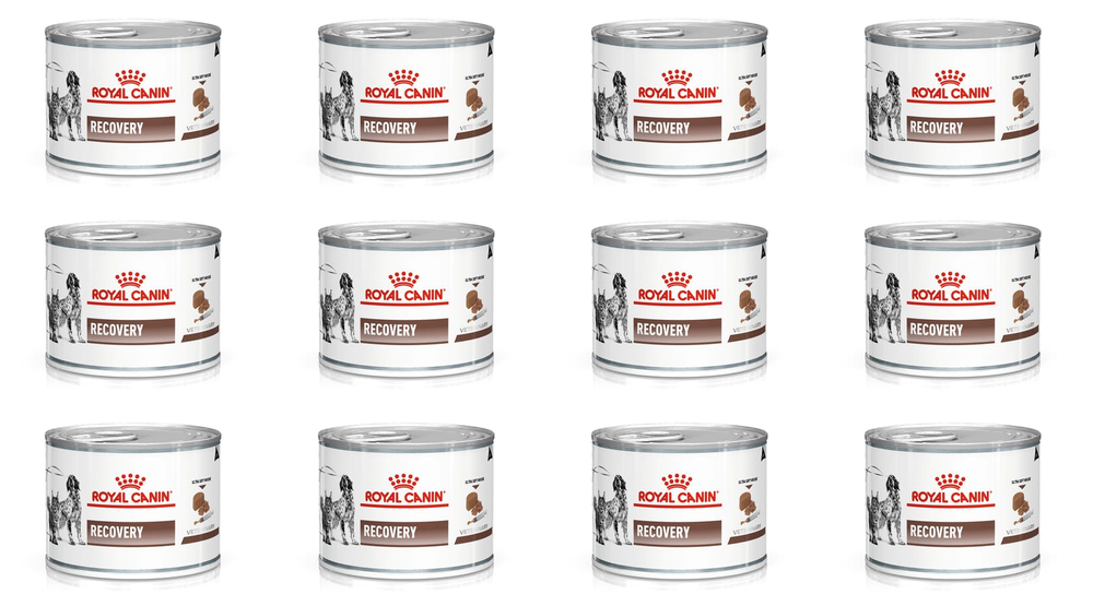 Royal Canin Recovery 12 X 195G Puszka |
