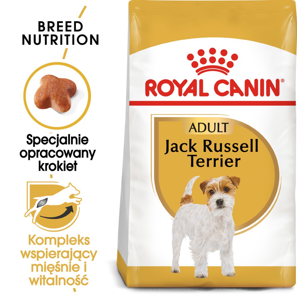 Royal Canin Jack Russel Adult 1,5kg + Pojemnik na karmę 1,5kg 197480