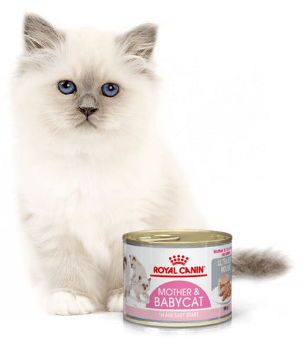 Royal Canin bytówka Babycat Instinctive Feline - 12 x 195g puszka