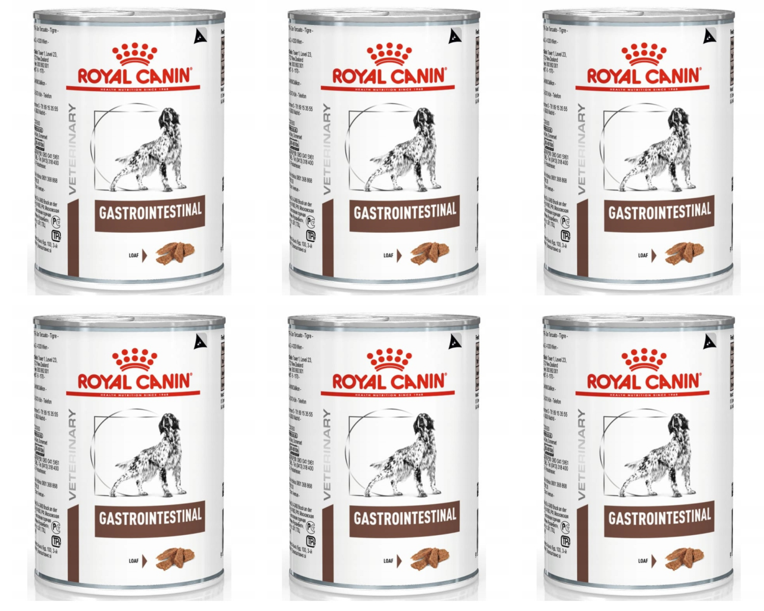 Royal Canin weterynaria Gastro Intestinal GI25 6x400g puszka PIES