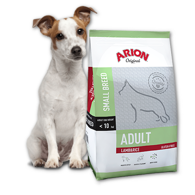 Arion Adult Small Breed Lamb&Rice 3 kg