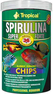 Tropical Super Spirulina Forte Chips 100ml 60573