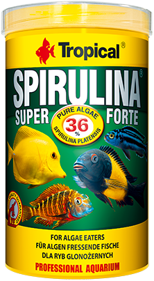 Фото - Корм для риб Tropical Super Spirulina Forte 250ml 