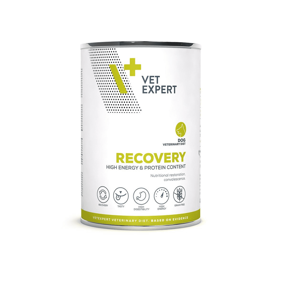 4T Veterinary Diet Recovery 400g