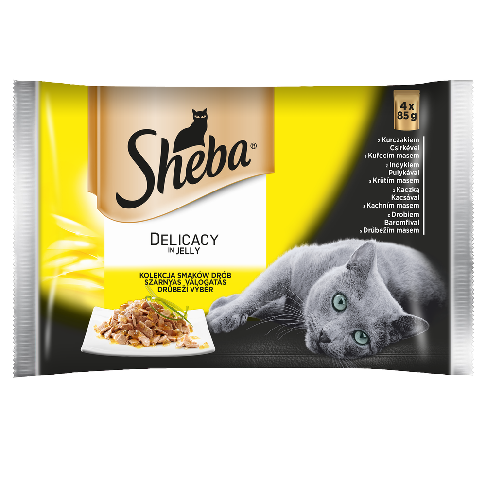 Sheba Delicacy In Jelly Drobiowe Smaki 85G 3+1