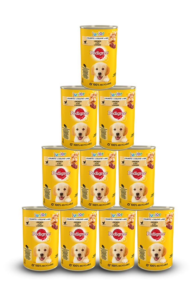 Pedigree junior kura w galarecie 400 g x24 DARMOWA DOSTAWA OD 95 ZŁ!