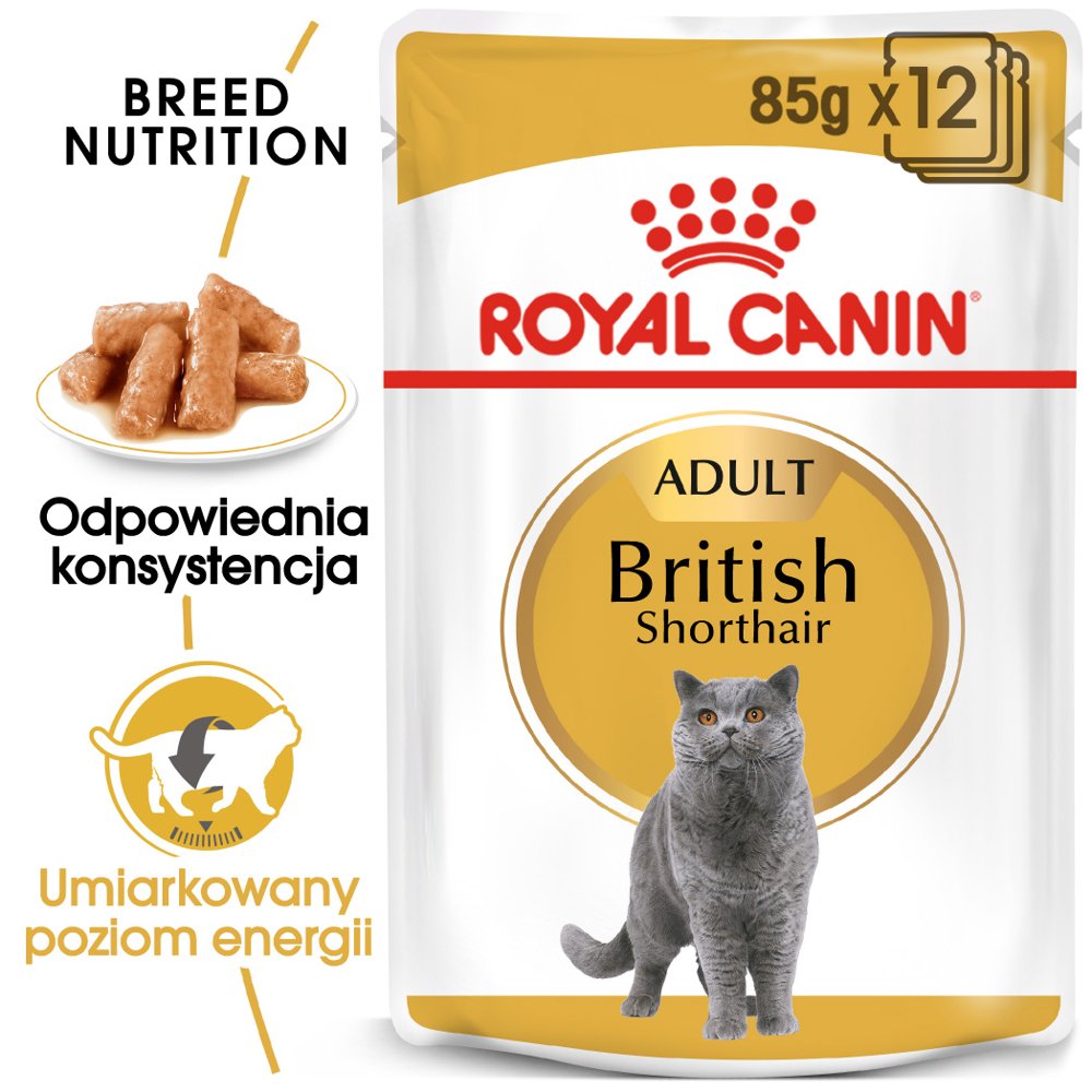 Royal Canin bytówka British Shorthair Adult saszetka 12x85g Sos) 16450-uniw