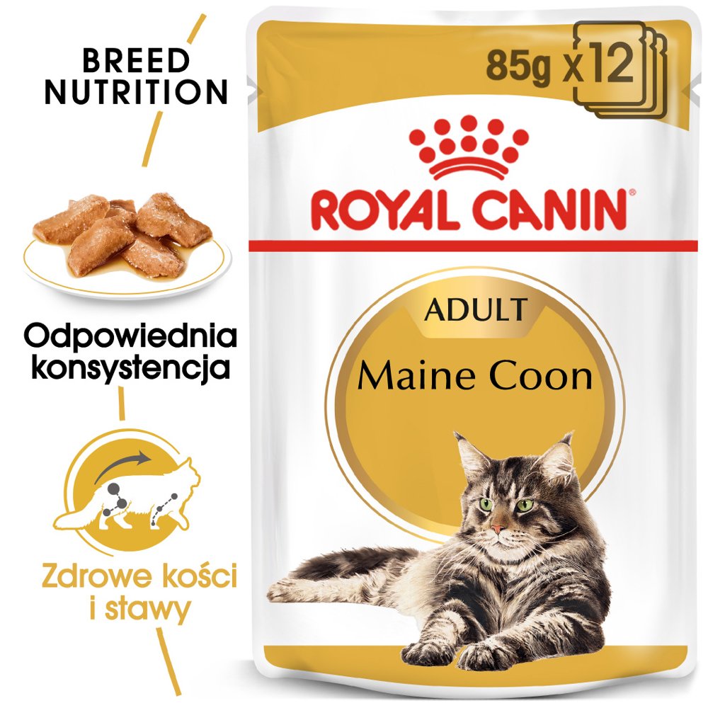 Royal Canin bytówka Maine Coon Adult saszetka 12x85g Sos) 16449-uniw