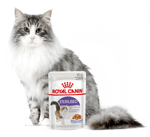 Royal Canin Sterilised w galaretce 24x85g 16498-uniw