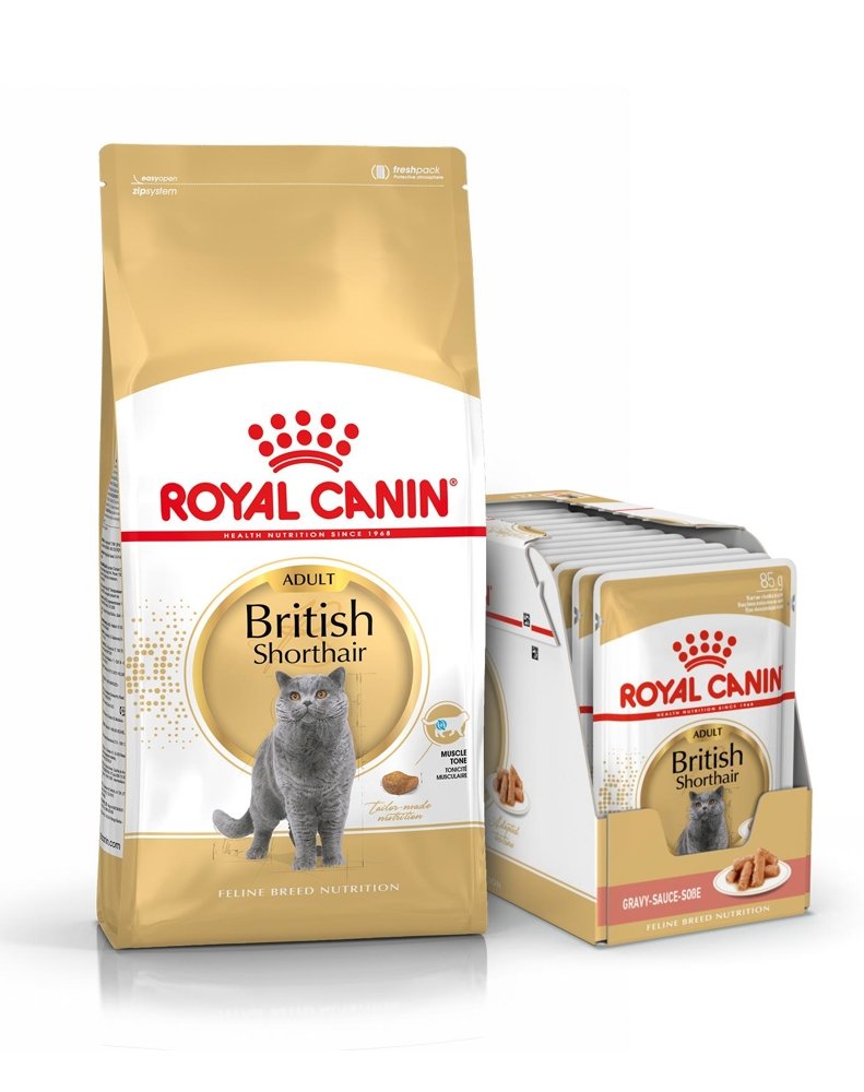 Royal Canin British Shorthair 2kg + 12x British Shorthair Adult saszetka 85g Sos) 16647-uniw