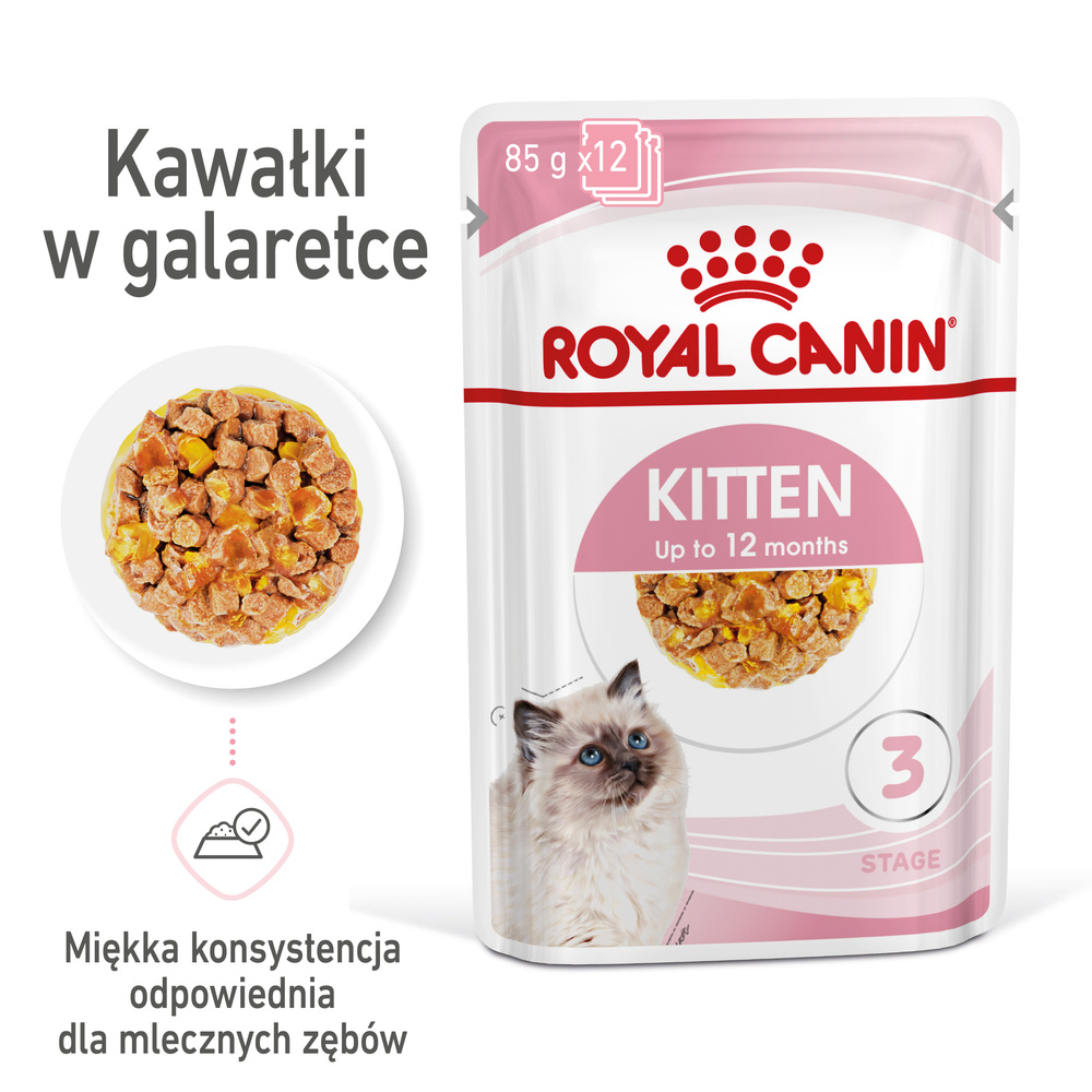 Royal Canin Kitten w galaretce Feline 12x85g saszetka 17082-uniw