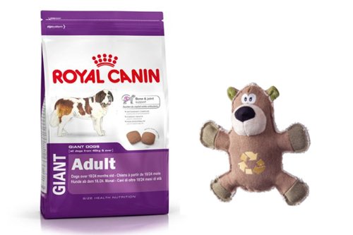 Royal Canin Giant Adult 15kg + Torba lniana ! 181510