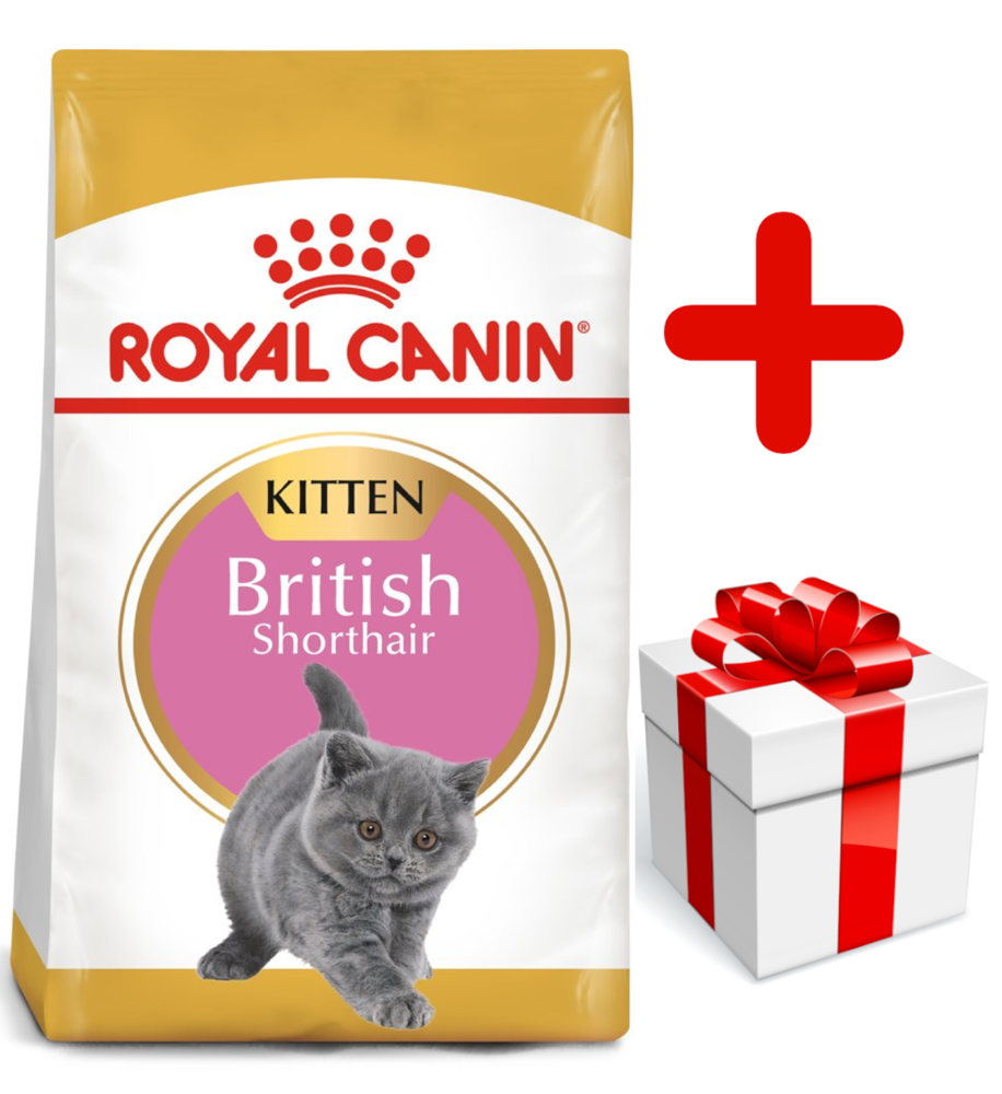 ROYAL CANIN British Shorthair Kitten 10kg  + niespodzianka dla kota GRATIS!