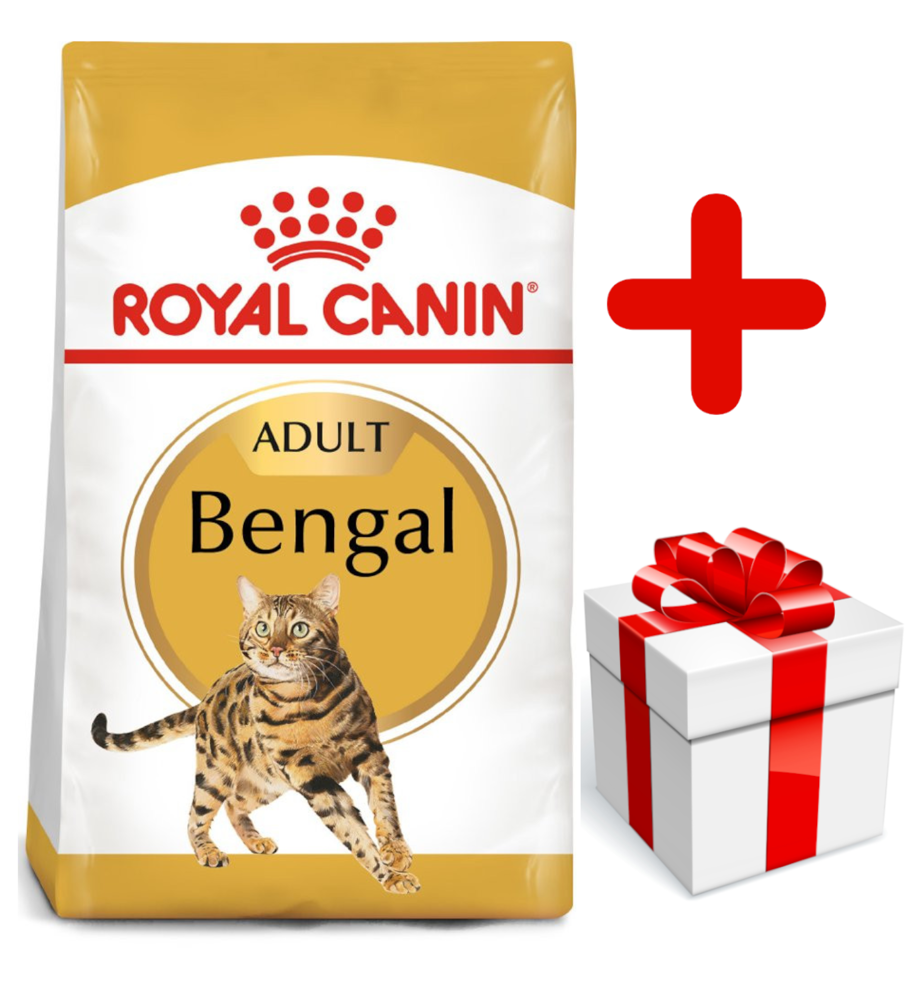 Royal Canin Bengal Adult 10 kg
