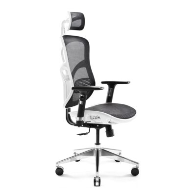 Diablo V-Basic ergonomiczne, krzesło biurowe, komfors tuhl, aktywnie oddychający sieci wybór materiału, z regulowaną podłokietniki, z regulacją wysokości, koloru