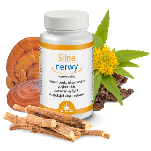 DR JACOBS Silne nerwy różeniec górski ashwagandha grzybek reishi witamina B1 witamina B2 kapsułki 100 sztuk