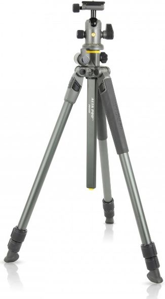 Statyw Vanguard Alta Pro2+ 263AB 100