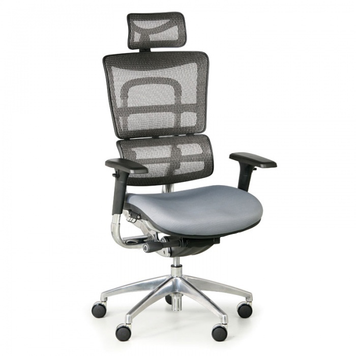 B2B Partner Uniwersalne krzesło WINSTON SAB, szary W13728-1(W10+B40)