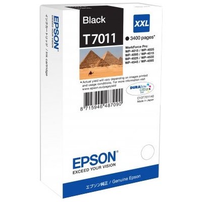Epson T7011 (C13T70114010)