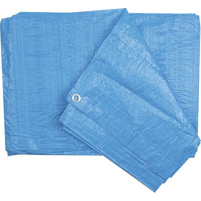 Vorel Plandeka 6 x 10 m 90g/m2 85080