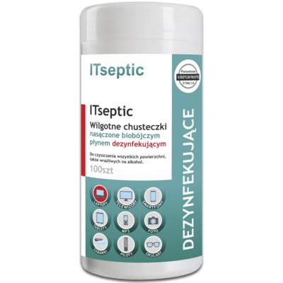 E5 ITSEPTIC wilgotne Chusteczki 100 szt. (RE02261)