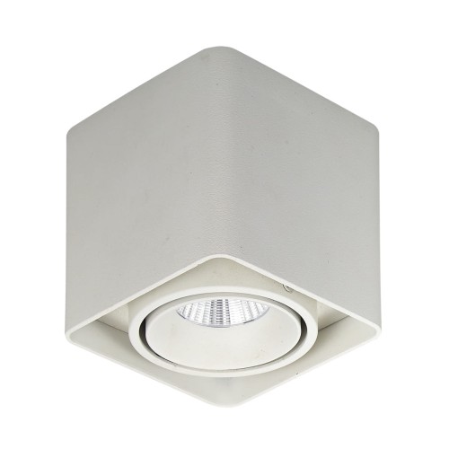Italux Bonnie LED lampa sufitowa 1-punktowa SLC78004/10W WH