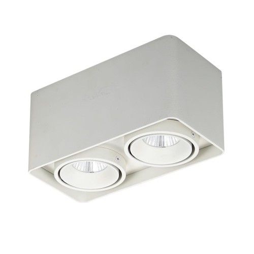 Italux Bonnie LED lampa sufitowa 2-punktowa SLC78005/20W WH
