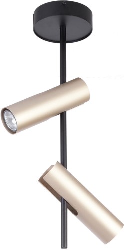 Sigma Leda lampa sufitowa 2-punktowa czarna/złota 33109 33109