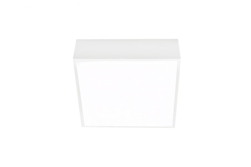 Azzardo FALCO AZ2781 Plafon sufitowy 1x12W/LED 4000K Z2781