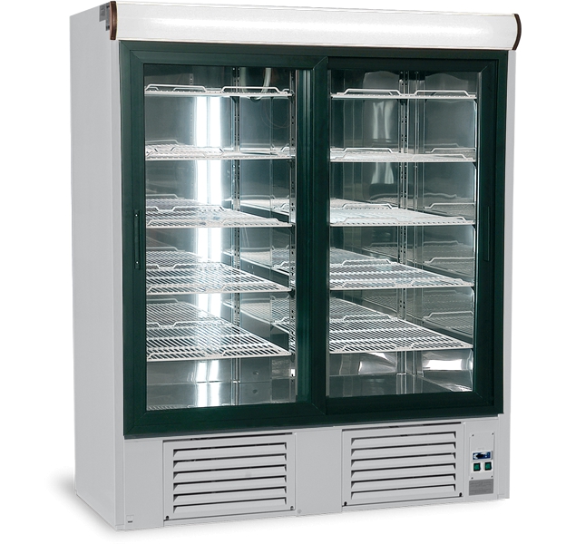 Szafa mroźnicza 1-drzwiowa GN 2/1 Linia Basic 600 l RQSM 600V