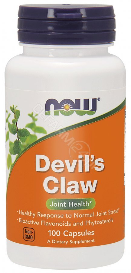 Now Foods NOW Devil's Claw 100caps