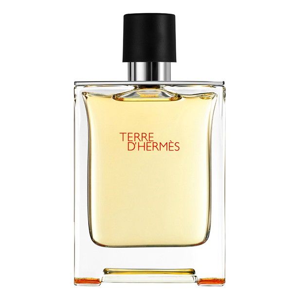 Hermes Terre DHermes Woda toaletowa 100ml TESTER