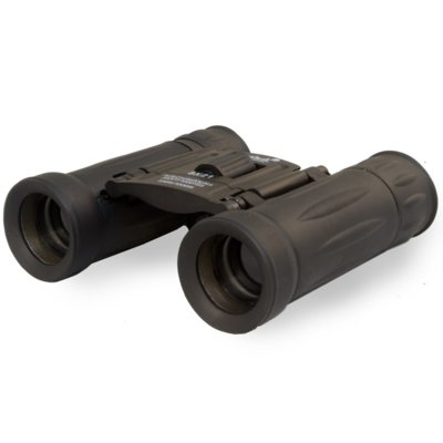 Levenhuk Atom 8x21 (67675)
