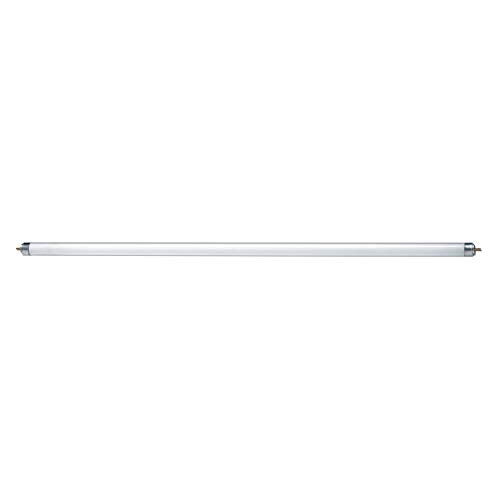 SLV Smart LED A60, możliwość przyciemniania, RGBW | 420052 548014
