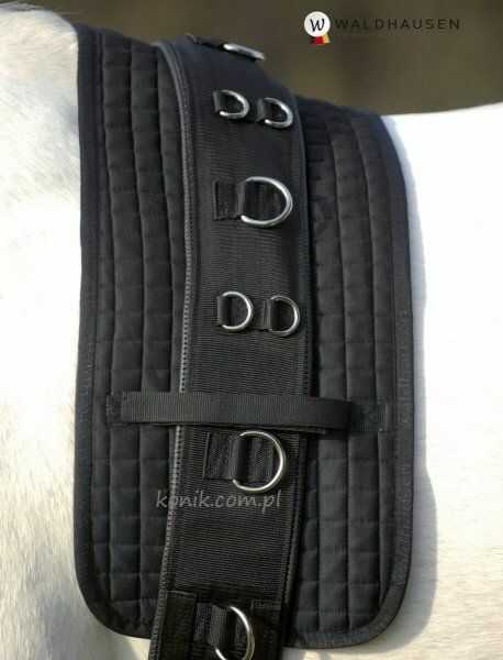WALDHAUSEN Pad pod pas do lonżowania