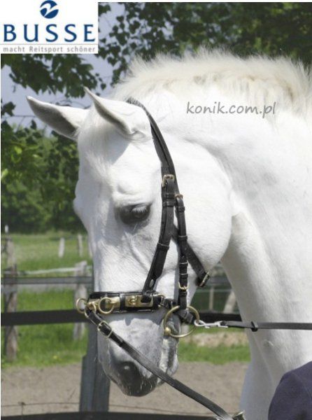 Busse Kawecan skórzany PROFESSIONAL - SOLIBEL