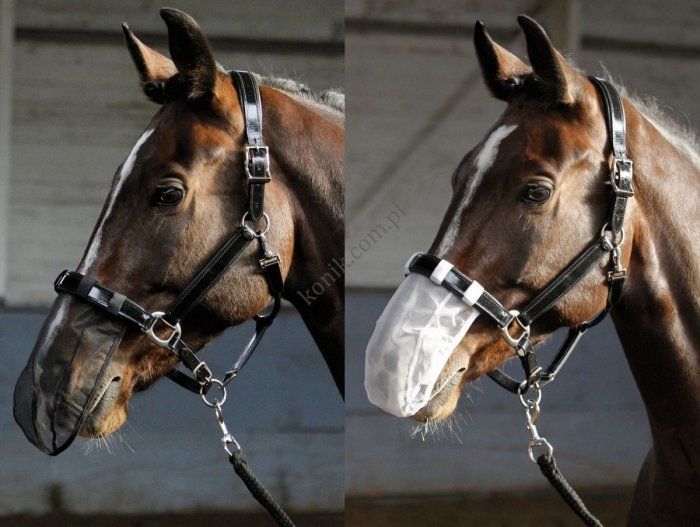 Harry''s Horse Siatka na nos do jazdy